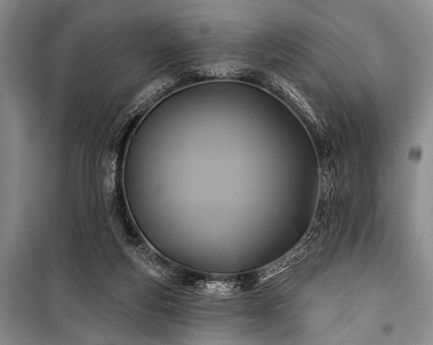 X0000101140163200806270928