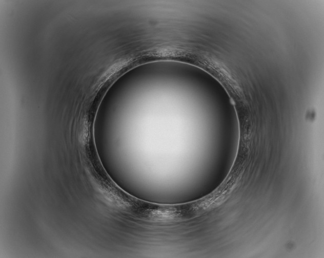 X0000101140164200806270928