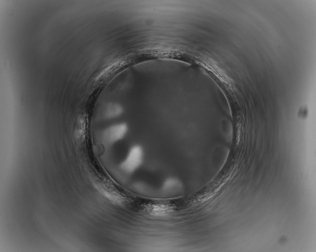 X0000101140165200806270928