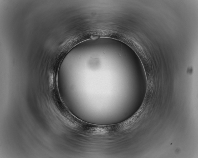 X0000101140166200806270928