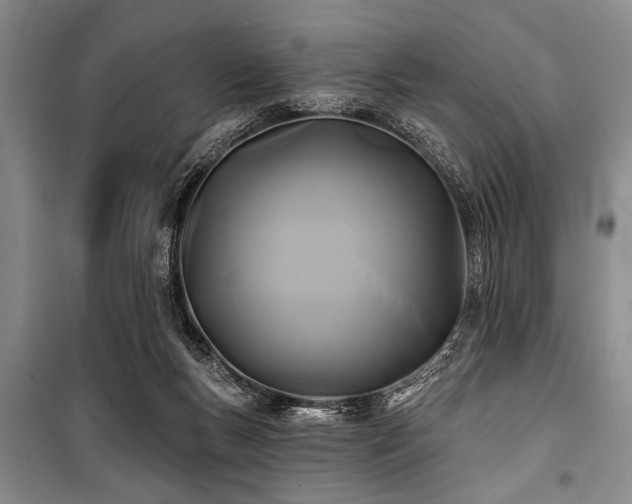 X0000101140167200806270928