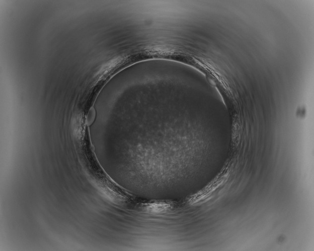 X0000101140168200806270928