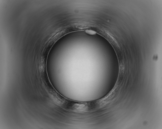 X0000101140170200806270928