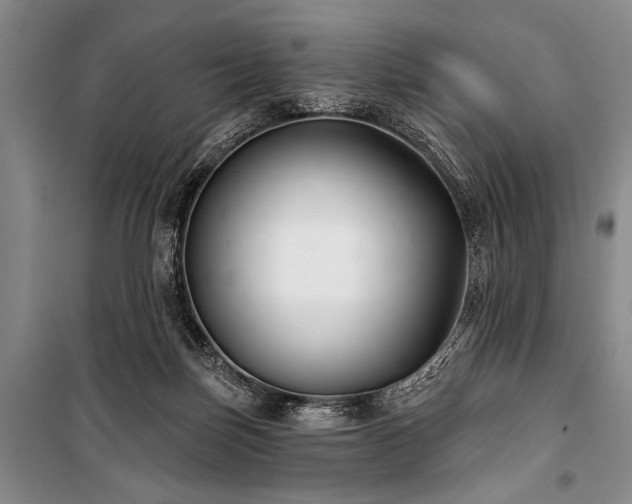 X0000101140171200806270928