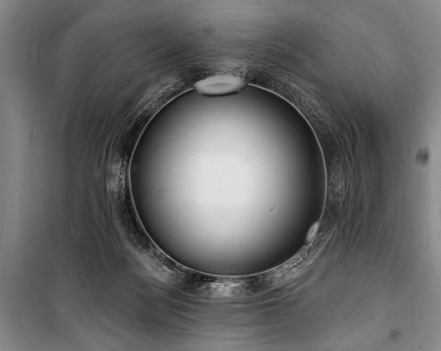 X0000101140172200806270928