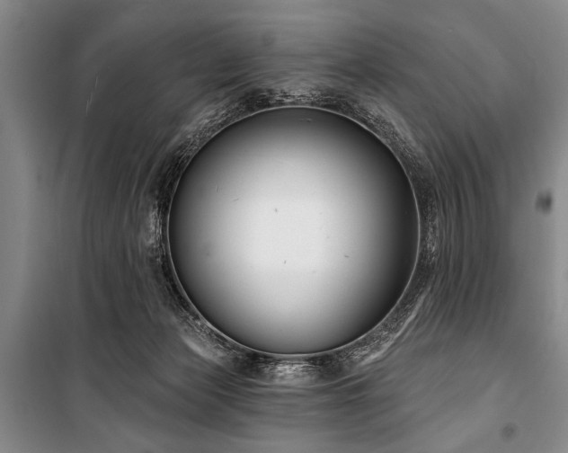 X0000101140173200806270928