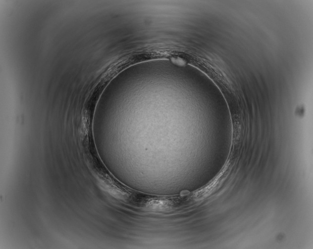 X0000101140174200806270928