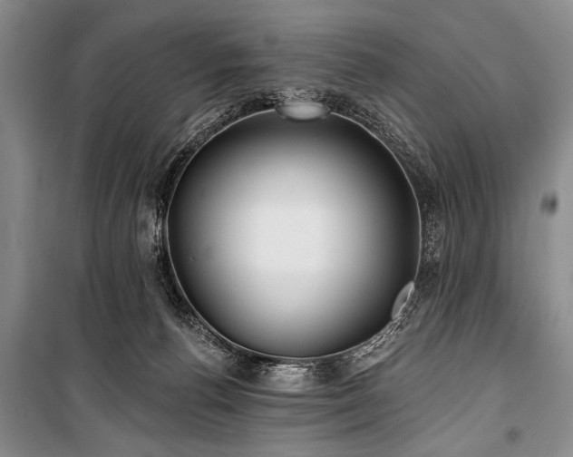 X0000101140176200806270928