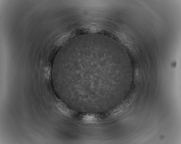 X0000101140177200806270928