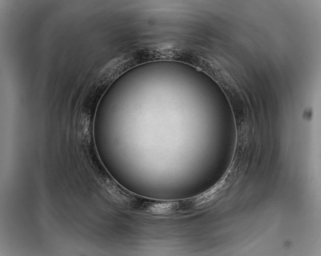 X0000101140178200806270928