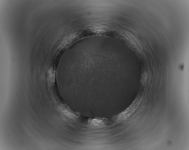 X0000101140180200806270928