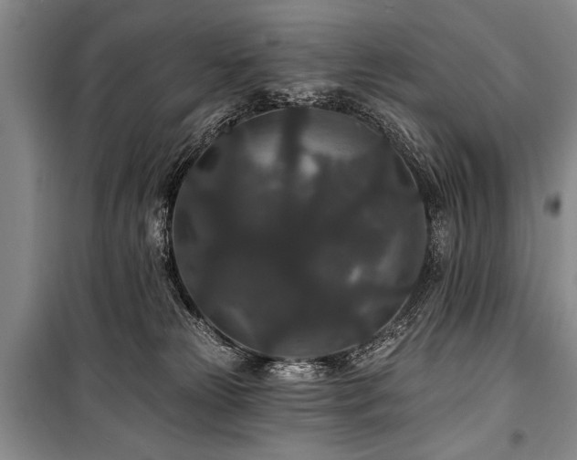 X0000101140181200806270928