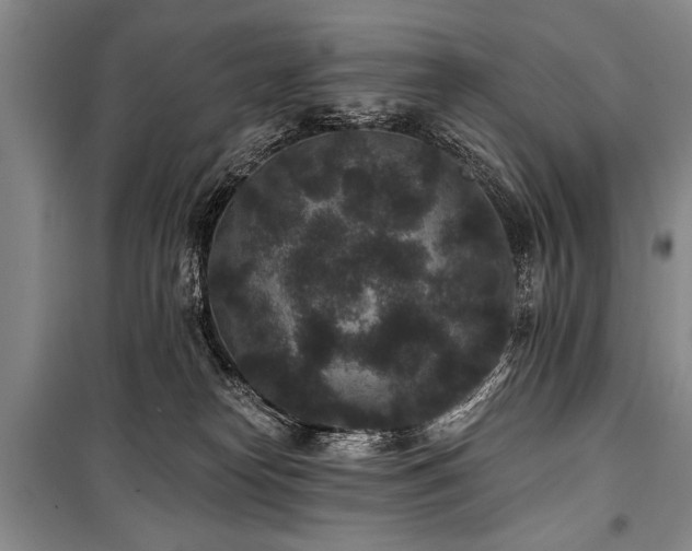 X0000101140182200806270928