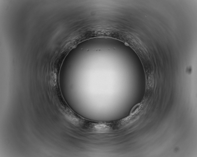 X0000101140183200806270928