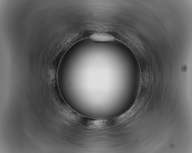 X0000101140184200806270928