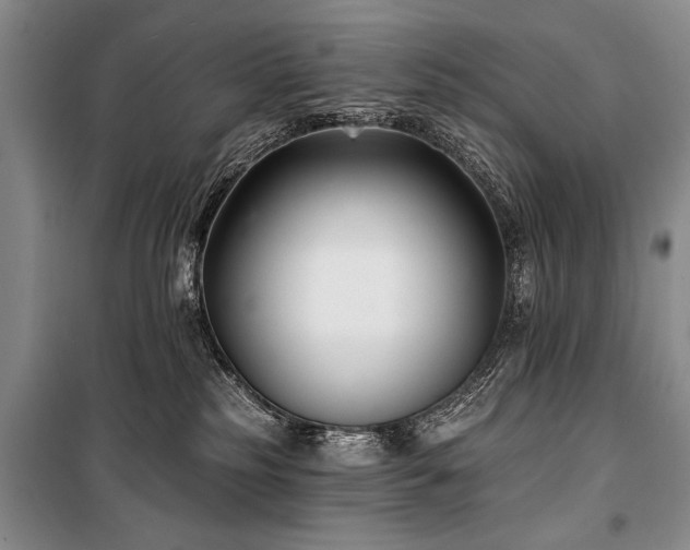 X0000101140185200806270928