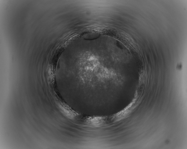 X0000101140186200806270928