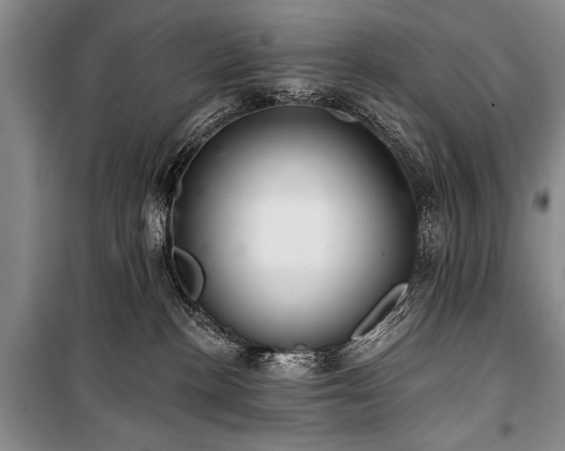 X0000101140188200806270928