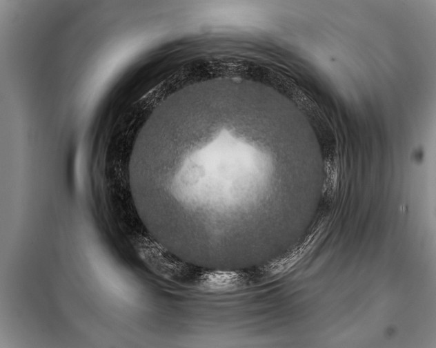 X0000101140189200806270928