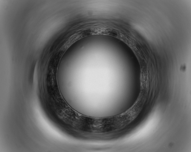 X0000101140191200806270928