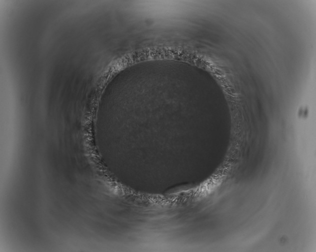 X0000101140192200806270928