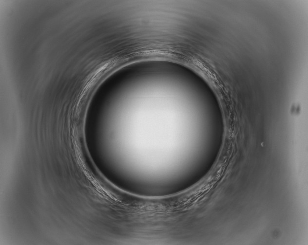 X0000101140193200806270928