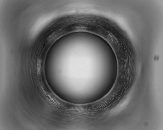 X0000101140194200806270928