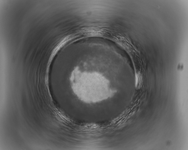 X0000101140195200806270927