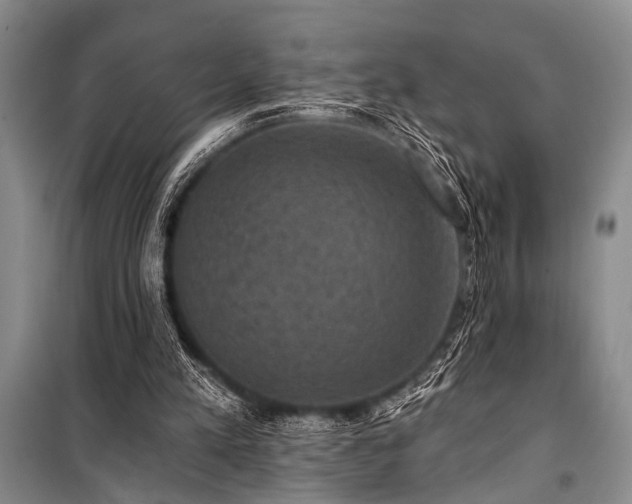 X0000101140197200806270927