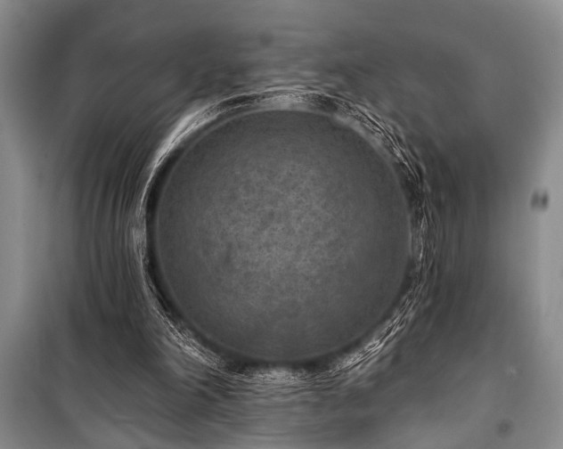 X0000101140198200806270927