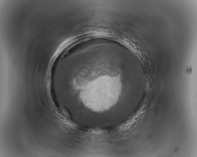 X0000101140199200806270927