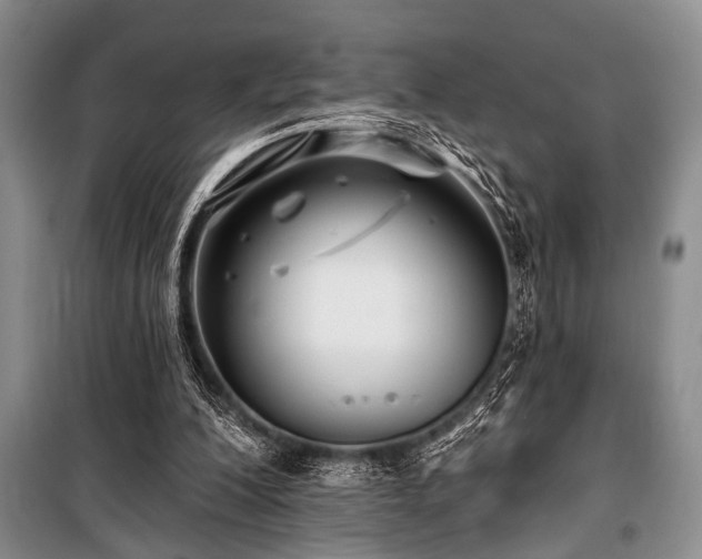 X0000101140200200806270927