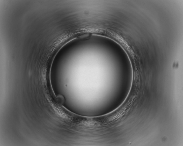 X0000101140201200806270927