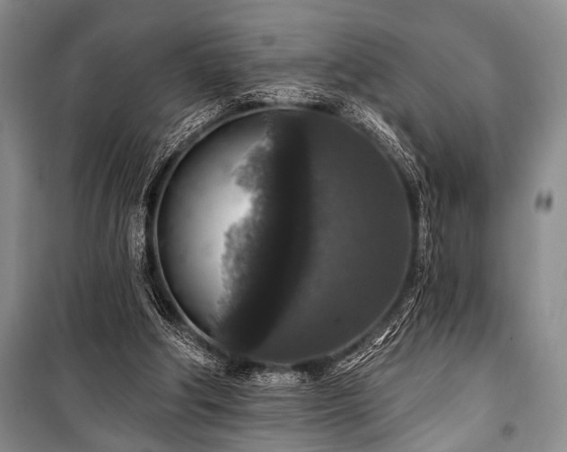 X0000101140202200806270927