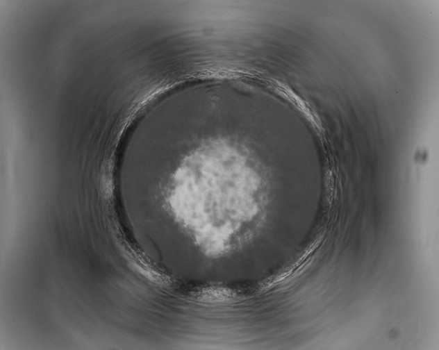 X0000101140203200806270927