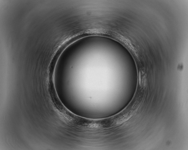 X0000101140204200806270927