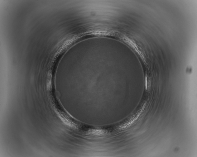 X0000101140205200806270927