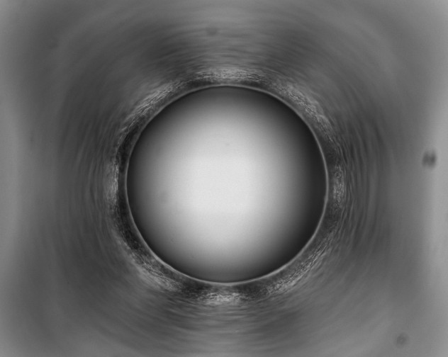 X0000101140206200806270927