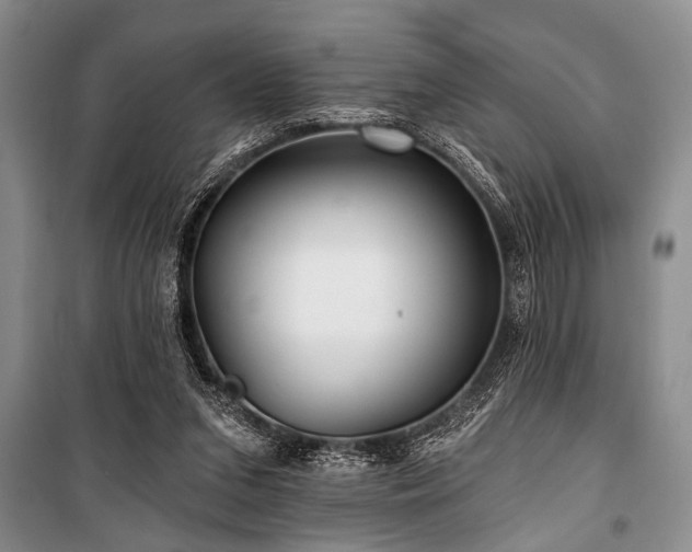 X0000101140207200806270927