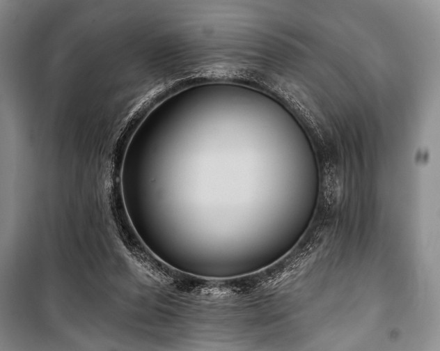 X0000101140208200806270927