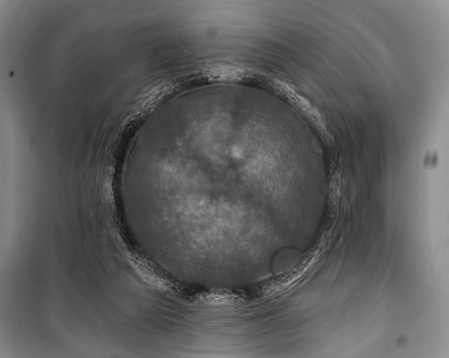 X0000101140209200806270927