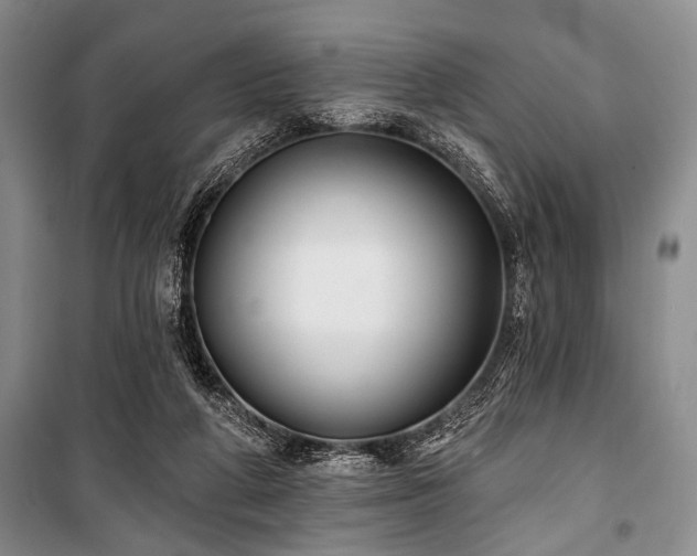 X0000101140210200806270927