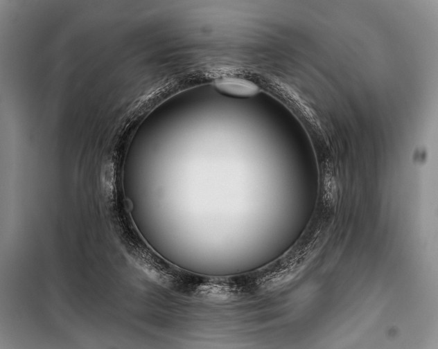 X0000101140211200806270927