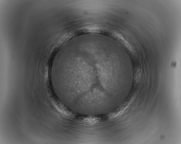 X0000101140213200806270927