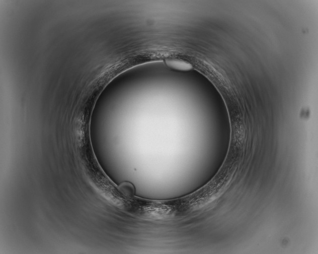 X0000101140215200806270927