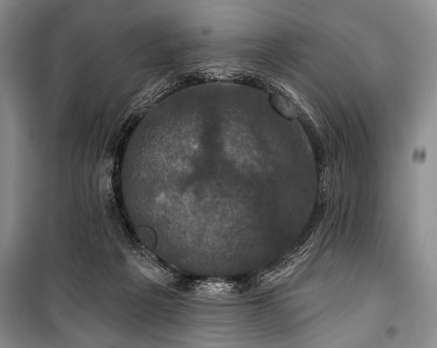 X0000101140217200806270927