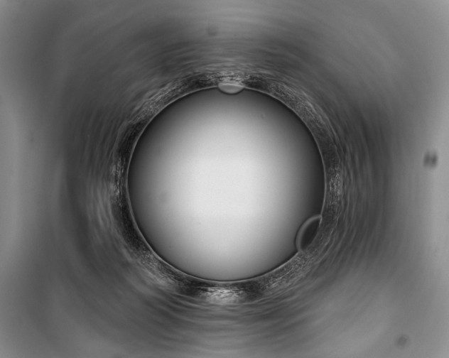 X0000101140218200806270927