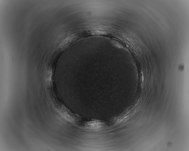 X0000101140219200806270927