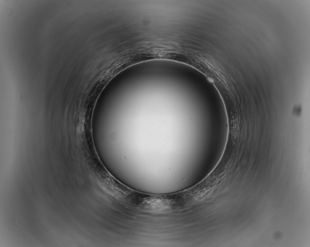 X0000101140221200806270927