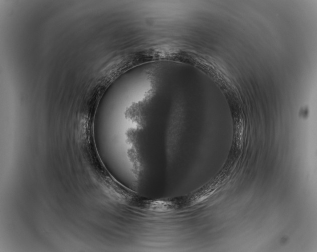 X0000101140222200806270927